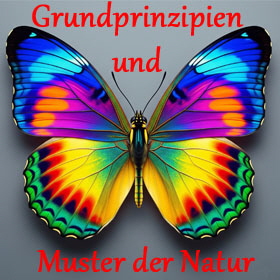 280x280 Muster der Natur1