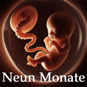 280x280 Neun Monate1 (2)