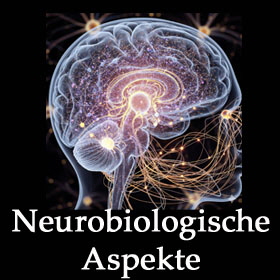 280x280 Neurobiologische Aspekte1